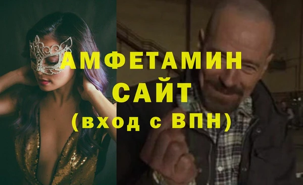 стафф Богданович